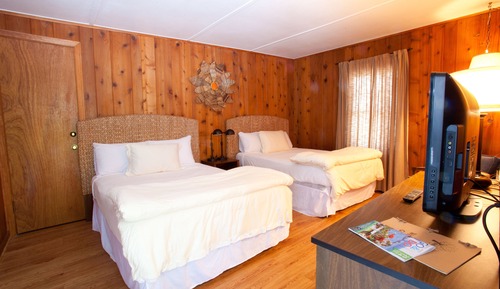 Standard Room, 2 Double Beds