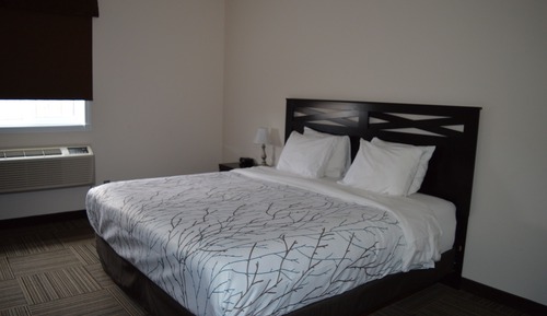 Traditional Room, 1 King Bed
