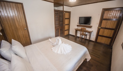 Room, 1 Queen Bed