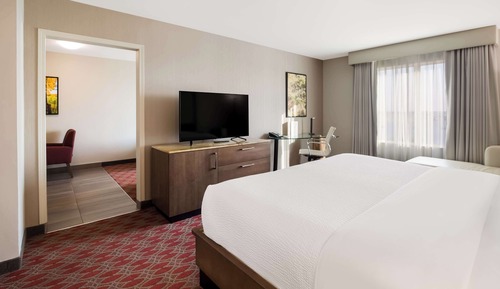 Junior Suite, 1 King Bed with Sofa bed, Non Smoking