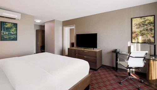 Business Room, 1 King Bed, Non Smoking