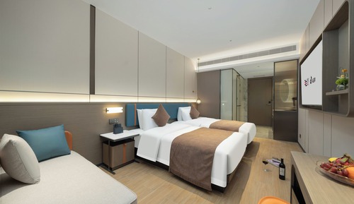 Standard Twin Room