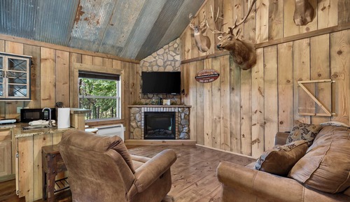 Cabin, 1 Queen Bed with Sofa bed, Hot Tub, Mountain View (Antlers Point)