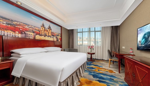 Superior Single Room