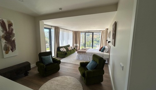 Studio, 1 King Bed, Valley View