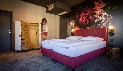 Comfort Suite
