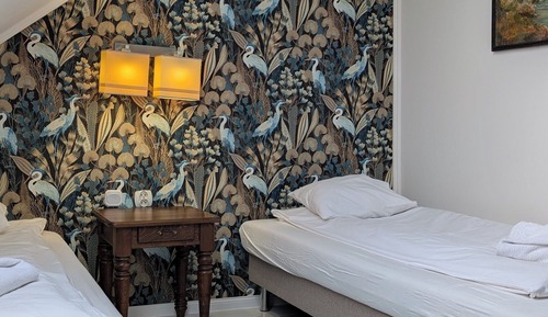 Basic Room, Hill View