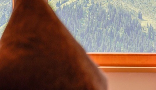 Grand Double Room, Mountain View