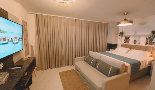Luxury Apartment