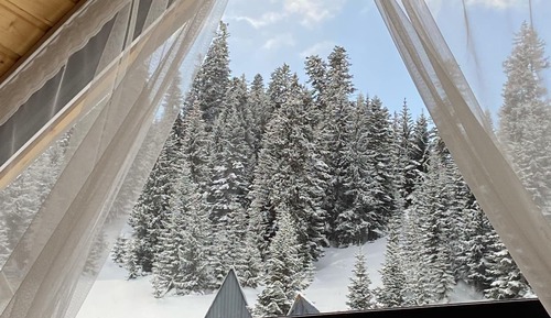 Double Room, Balcony, Mountain View
