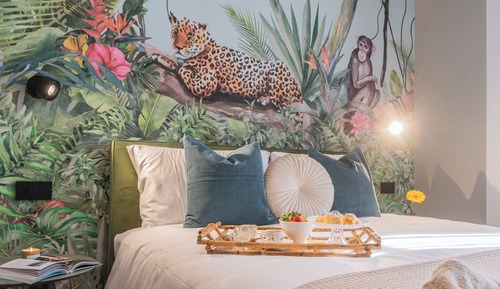 Apartment (1 Bedroom)