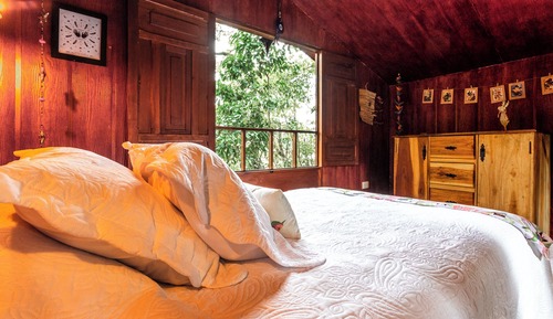 Family Tree House, Balcony, Mountain View