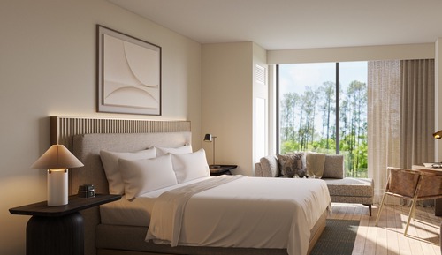 Room, 1 King Bed (Water View, Roll-In Shower)