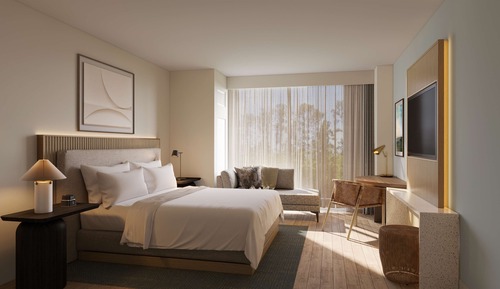 Room, 1 King Bed, Accessible (Hearing)