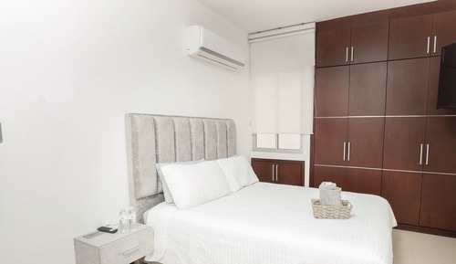 Deluxe Apartment, City View