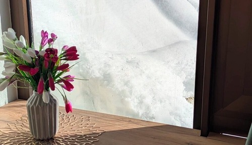 Comfort Room, Garden View