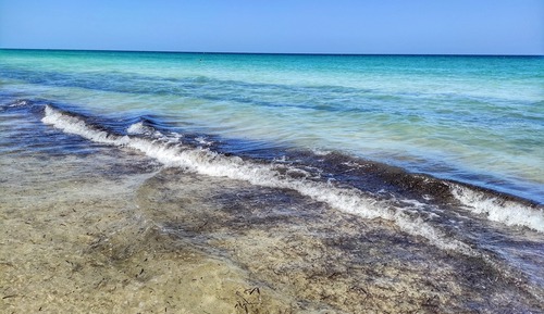 Apartment (1 Bedroom)