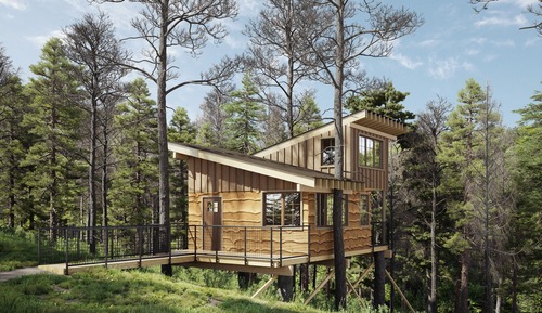 Tree House, Mountain View