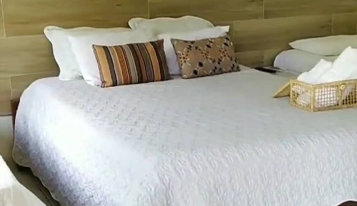 Basic Quadruple Room