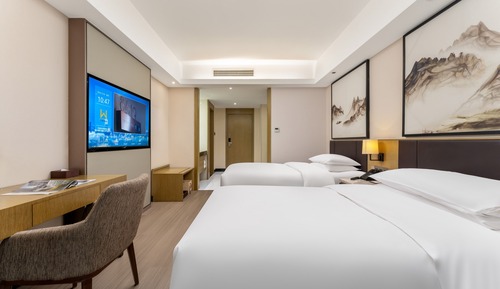Business Twin Room, Multiple Beds