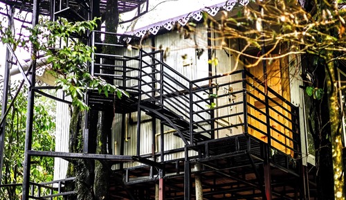Tree House