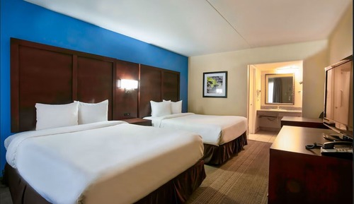 Signature Twin Room