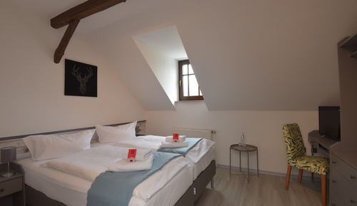 Traditional Double or Twin Room