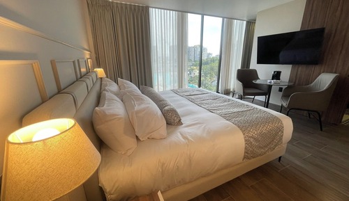 Junior Room, 1 King Bed, City View