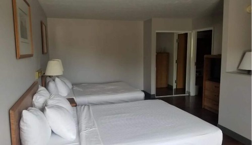 Premium Suite