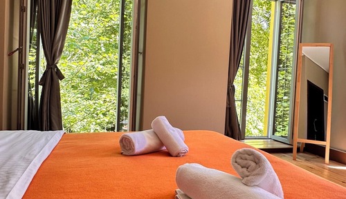 Standard Double or Twin Room, Mountain View