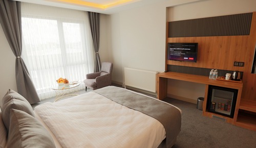 Classic Triple Room, City View