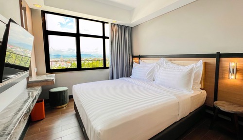 Deluxe Double or Twin Room
