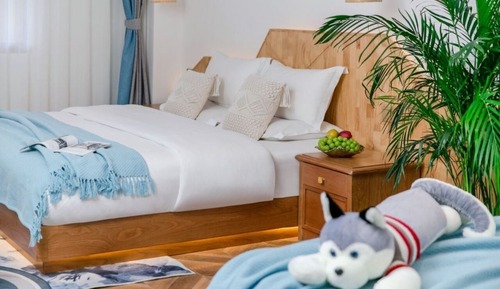 Family Studio Suite, City View