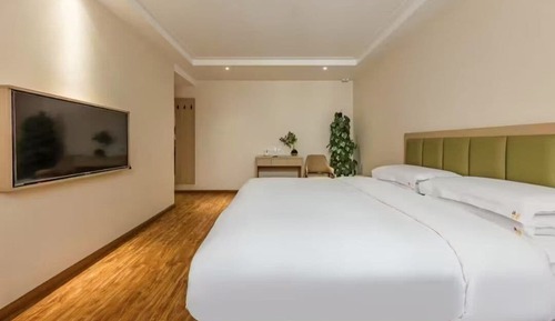 Basic Single Room
