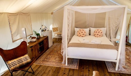 Tent - 1, Queen Bed, Garden View