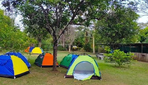 Basic Tent