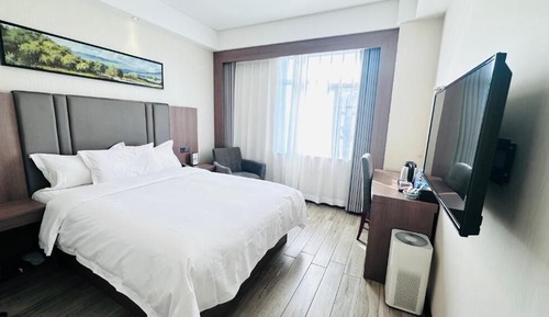 Standard Single Room
