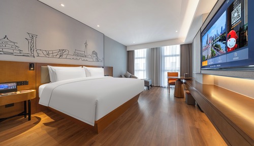 Luxury Single Room