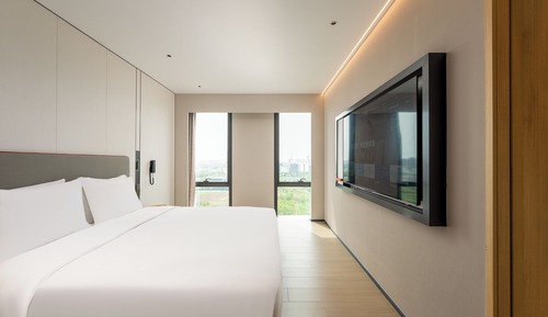 1 Bedroom Suite