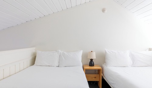 Suite (Scribner)