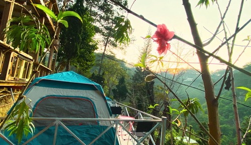 Tent, Mountain View