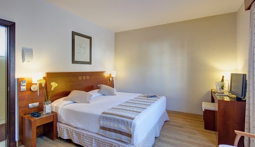 Basic Double or Twin Room