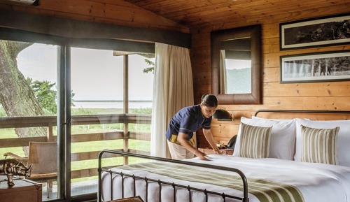 Safari Room