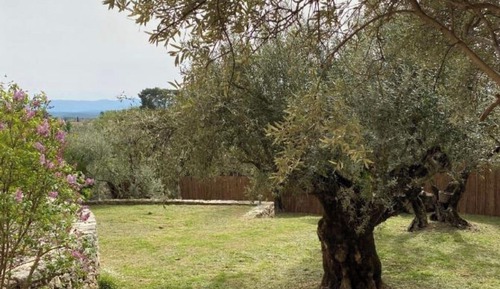 Classic Double Room, Garden View