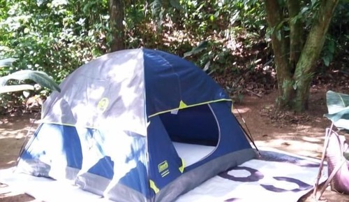 Tent, Patio, Garden View