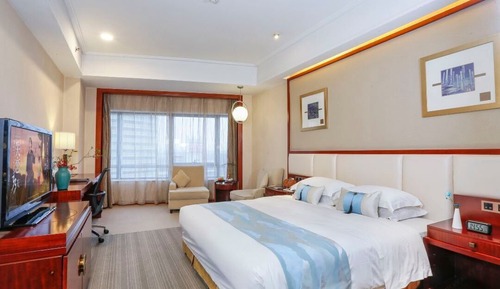 Comfort Single Room
