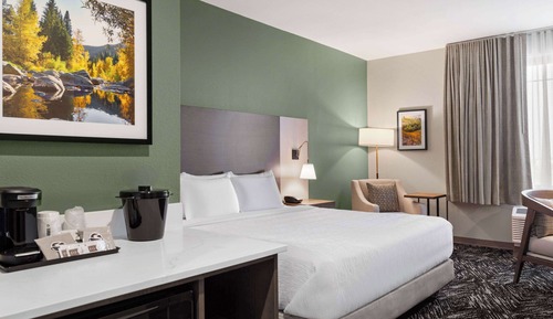 Standard Room, 1 King Bed (Shower)