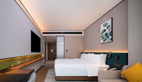 Room, 1 King Bed