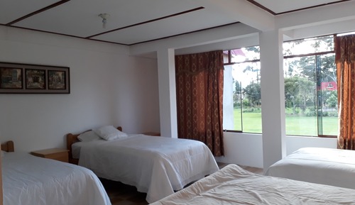 Standard Quadruple Room