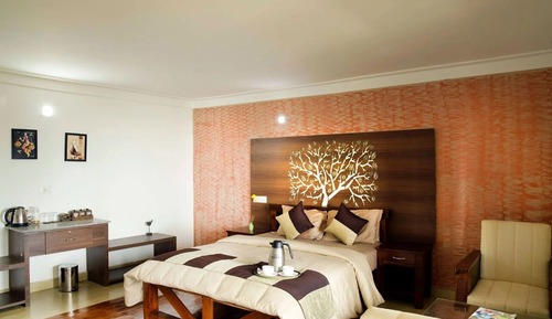 Deluxe Room, Mountain View